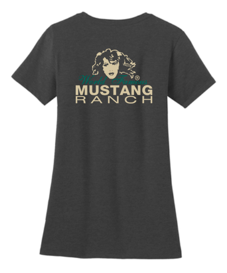 Ladies V-Neck T-Shirt