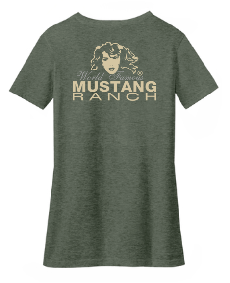 Ladies V-Neck T-Shirt